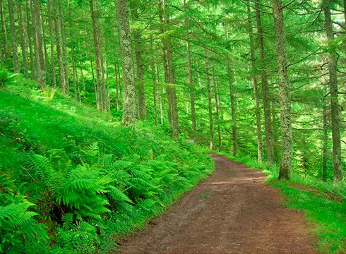 [BIZI DEBABARRENA] Eibar: Ixuatik Arratera, Ylenia Bagliettoren eskutik