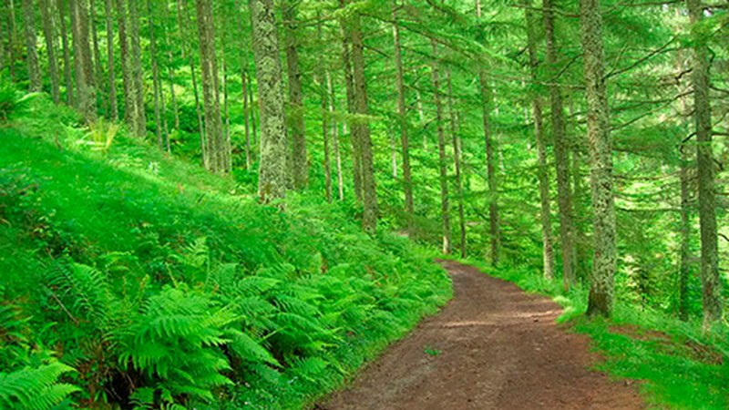 [BIZI DEBABARRENA] Eibar: Ixuatik Arratera, Ylenia Bagliettoren eskutik