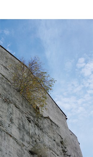 "Bizitza" (Viviane Straub)