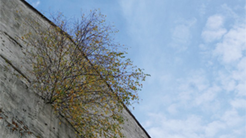 "Bizitza" (Viviane Straub)