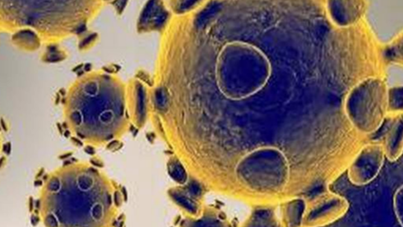 Bost positibo berri atzeman dituzte Eibarren