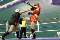 Boxeo Gaua (Argazkiak: Kultura-Eibarko Udala)