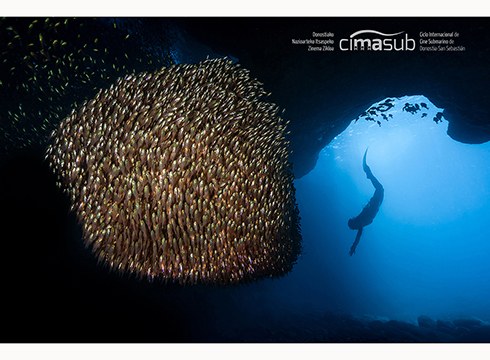 Cimasub lehiaketako lan onenekin argazki erakusketa zabaldu dute Topalekuan