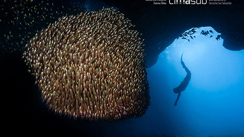 Cimasub lehiaketako lan onenekin argazki erakusketa zabaldu dute Topalekuan