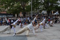 Dantzaren Nazioarteko Eguna ospatzeko jardunaldi ikusgarri eta arrakastatsua