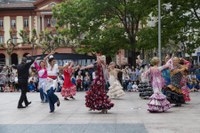 Dantzaren Nazioarteko Eguna ospatzeko jardunaldi ikusgarri eta arrakastatsua