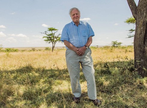 David Attenborough-en dokumental autobiografikoa proiektatuko dute gaur