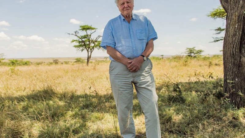 David Attenborough-en dokumental autobiografikoa proiektatuko dute gaur