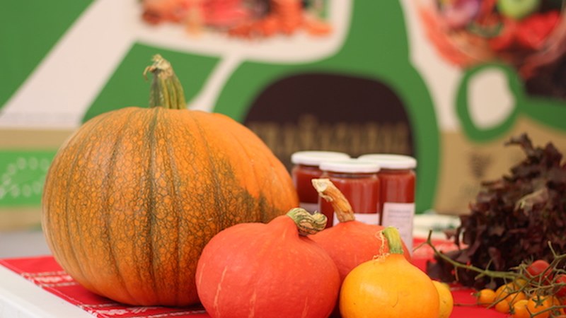 Debabarreneko Azoka Ekologikoa (2019)