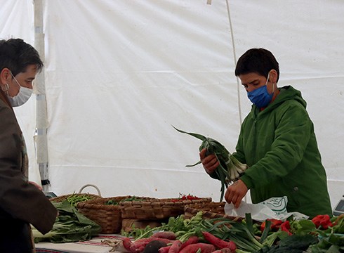 Debabarreneko azoka ekologikoa euriak ondo busti zuen zapatuan