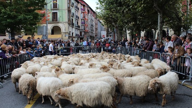 Debabarreneko I. Gazta Astea 2016