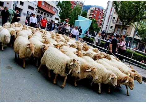 Debabarreneko Gazta Azoka egingo da domeka goizean Untzagan