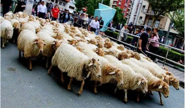 Debabarreneko Gazta Azoka egingo da domeka goizean Untzagan