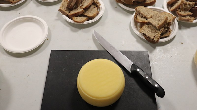 Debabarreneko IV. Gaztaren Astea