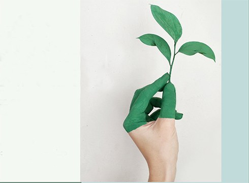 Debegesak Ekonomia zirkularreko eta ekintzailetzako doako tailerra antolatu du