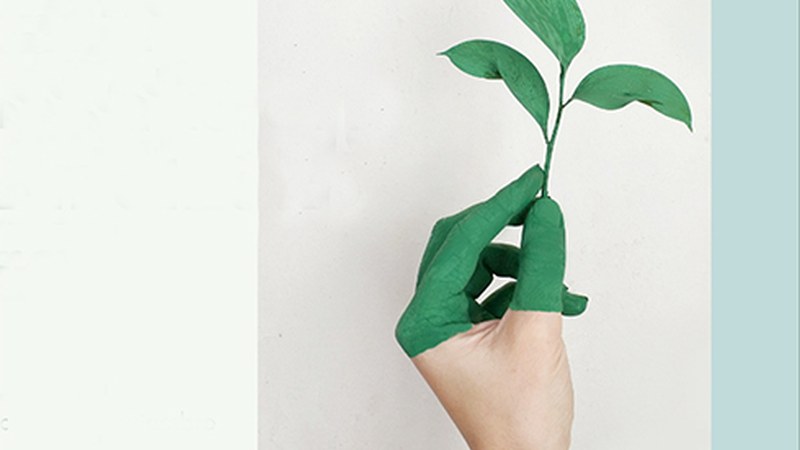 Debegesak Ekonomia zirkularreko eta ekintzailetzako doako tailerra antolatu du