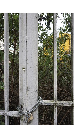 "Debekatutako lorategia" (Viviane Straub)