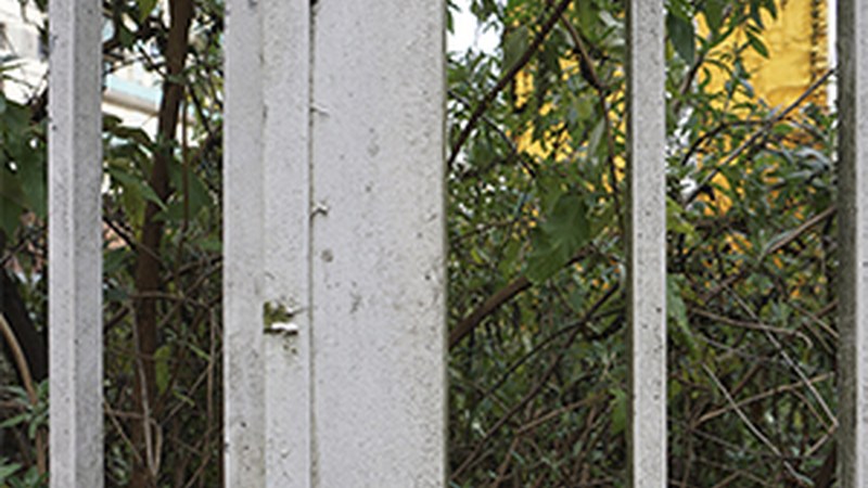 "Debekatutako lorategia" (Viviane Straub)