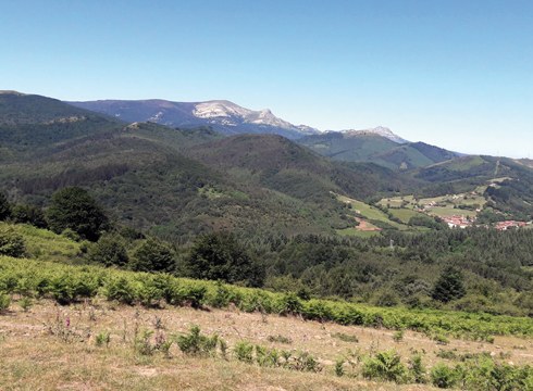 Deporreko mendizaleek urteko azken irteera egingo dute Otxandiora