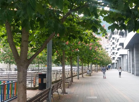 Deseskalada maiatzaren 4an hasiko da eta lau fase izango ditu