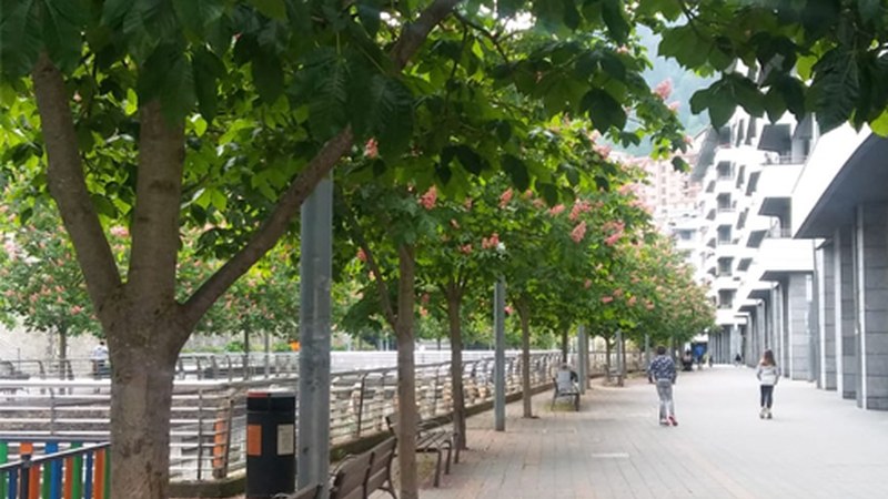 Deseskalada maiatzaren 4an hasiko da eta lau fase izango ditu