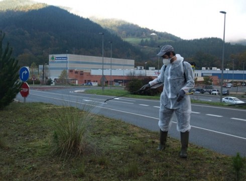 Diputazioak landare inbaditzaileak errotik kentzeko beharrean dihardu