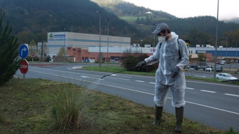 Diputazioak landare inbaditzaileak errotik kentzeko beharrean dihardu