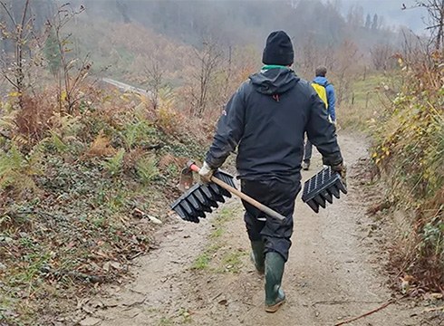 Domekan egingo den zuhaitz-landaketan parte hartzeko deia egin du Eibarko Baso Biziak elkarteak