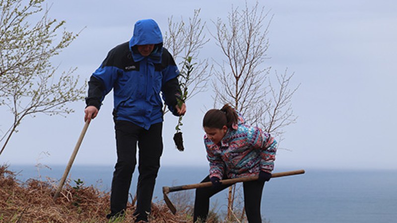 Domekan Elorrixan zuhaitzak landatzera joateko deia egin dute