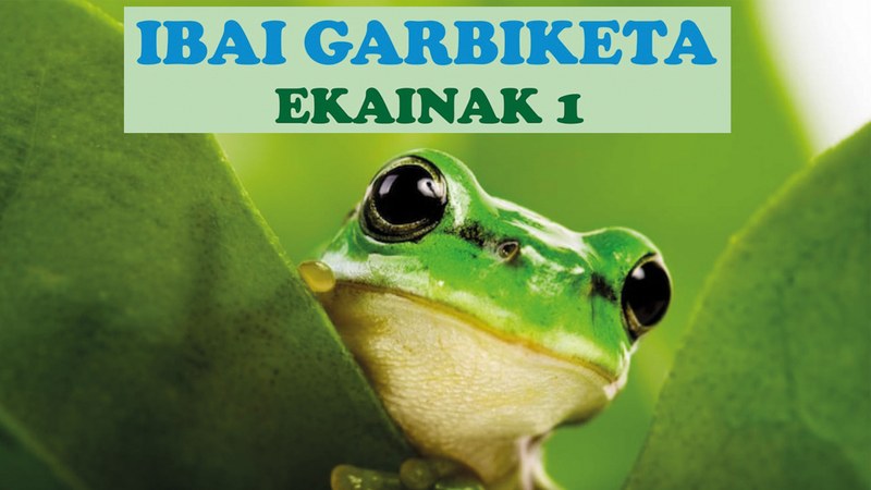 Domekan ibaia garbitzera joateko irteera antolatu du Eibarko Baso Biziak elkarteak