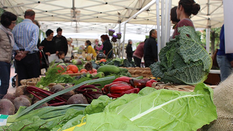 Domekan Untzagan egingo den azokarekin abiatuko da Debabarreneko VI. Aste Ekologikoa