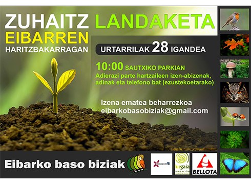 Domekarako zuhaitz-landaketa antolatu du Eibarko Baso Biziak elkarteak