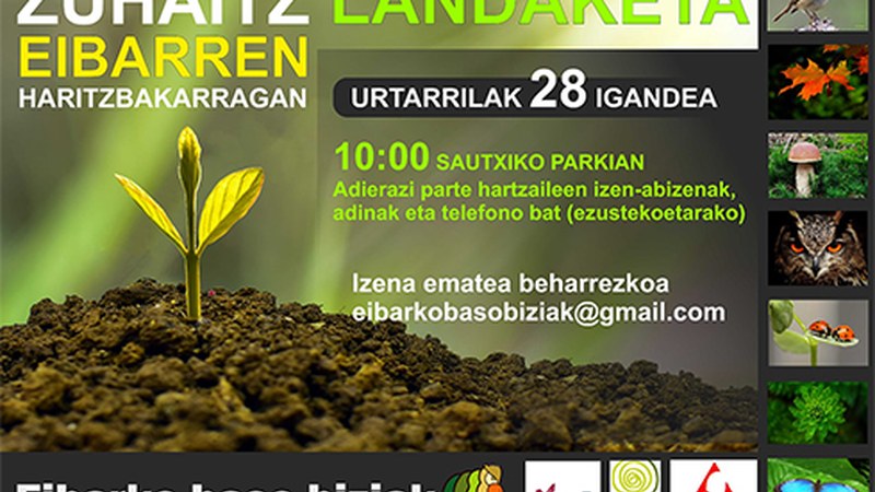 Domekarako zuhaitz-landaketa antolatu du Eibarko Baso Biziak elkarteak