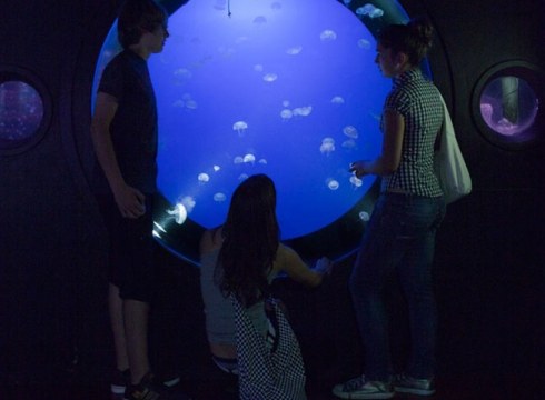 Donostiako akuariumean gaua emateko irteera