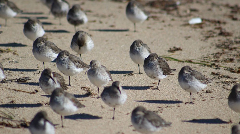 [EFEMERIDEAK] IRAILAK 6