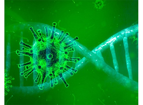 Egogain egoitzako langile eta egoiliarrei koronabirusaren probak egingo dizkiete gaur