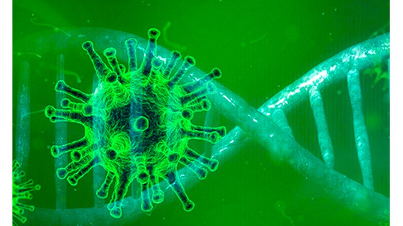 Egogain egoitzako langile eta egoiliarrei koronabirusaren probak egingo dizkiete gaur