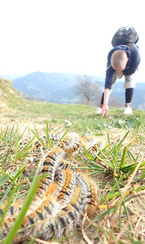 "Eguzki izpi bat, eta jada auto-ilarak!" (Viviane Straub)