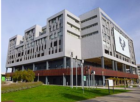 EHUk oraindik ez du erabaki aurrez aurreko eskolak bukatutzat ematen dituen