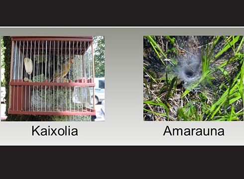 "Eibar aldeko euskara hiztegia" argazki digital lehiaketa abiatu dute