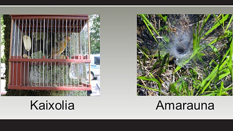 "Eibar aldeko euskara hiztegia" argazki digital lehiaketa abiatu dute