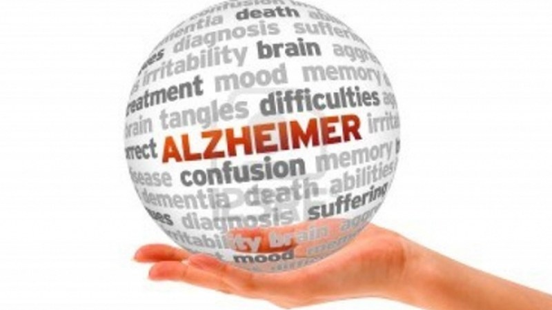 Eibar, Alzheimerrarekiko Hiri Solidarioa