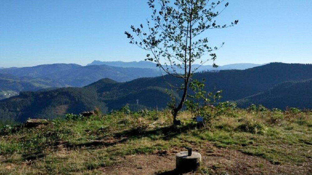 Eibar, Bergara eta Elgetako lurretan parke eolikoa jartzeko baimena eskatu dute