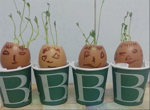 Eibar BHI-ko ZIG gelako ikasleek itxialdia nola pasatu duten erakusteko bideoa egin dute