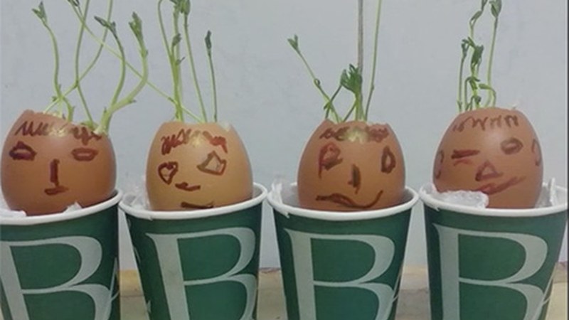 Eibar BHI-ko ZIG gelako ikasleek itxialdia nola pasatu duten erakusteko bideoa egin dute