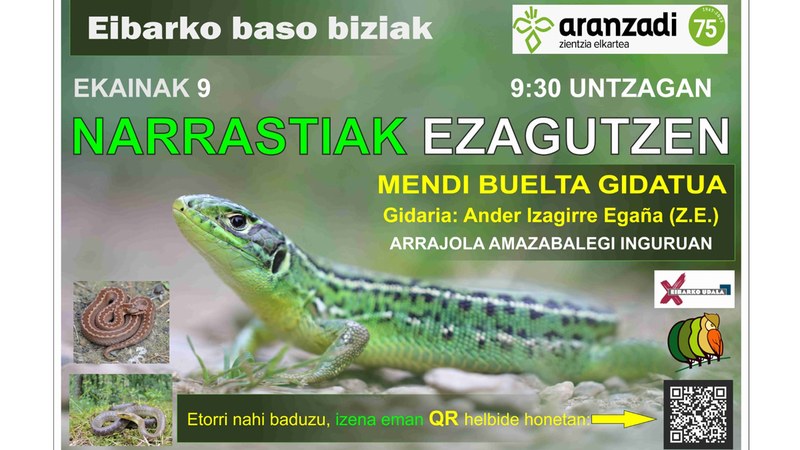 Eibar inguruko narrastiak ezagutzeko mendi-buelta gidatua antolatu du Eibarko Baso Biziak elkarteak domekarako