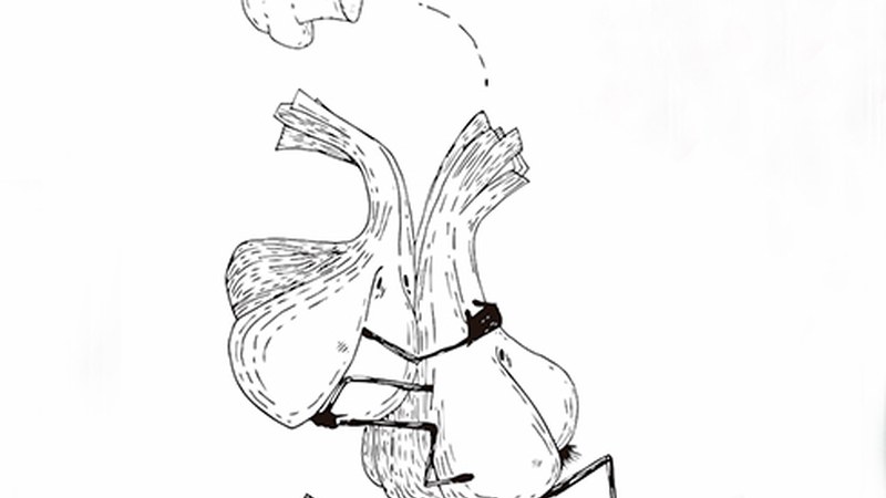 Eibarko 4. Berakatz Zopa Txapelketa antolatu du Eibarko Sarek azaroaren 16rako