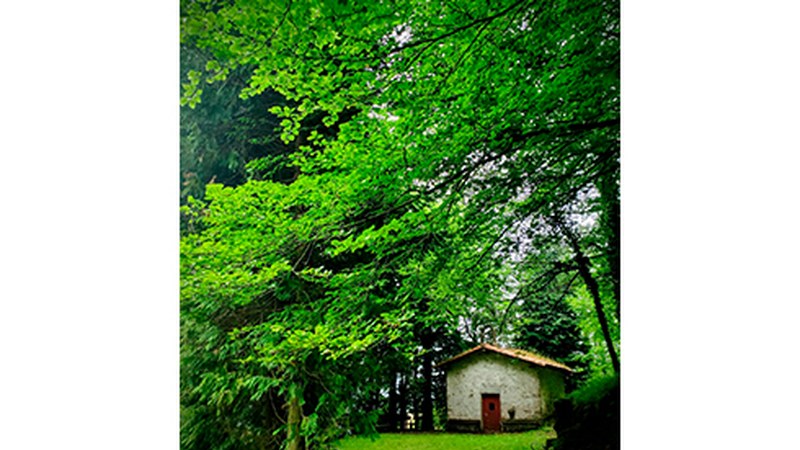 Eibarko Baso Biziak: “Eibartarrek inguruko basoek duten garrantziaz jabetzen dihardute”