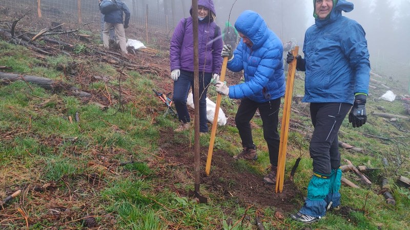 Eibarko Baso Biziak elkarteak 1,5 hektarea erosi ditu Kaminburun