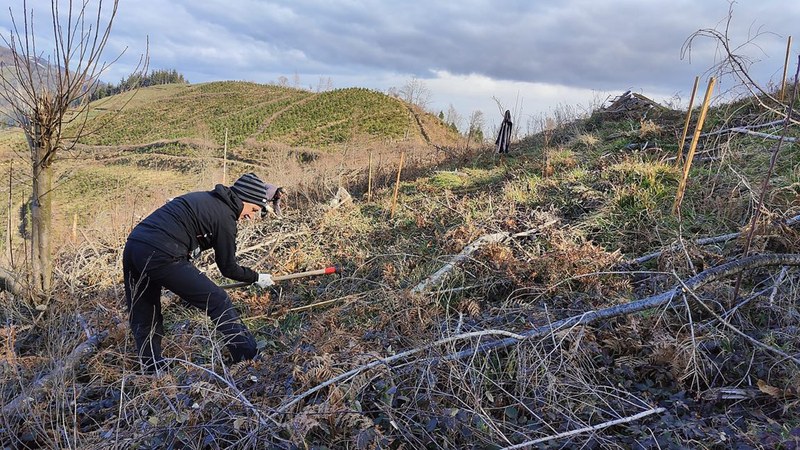 Eibarko Baso Biziak elkarteak urteko lehen landaketa egingo du domeka honetan